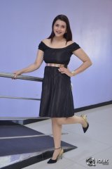 Mannara Chopra at Rogue Movie Success Meet